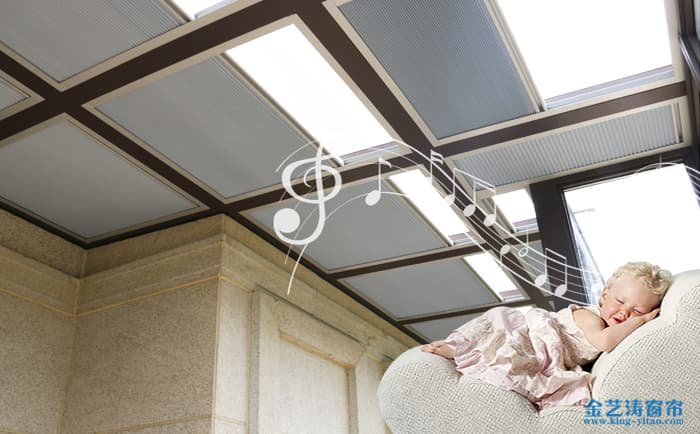 fss電動(dòng)天棚簾